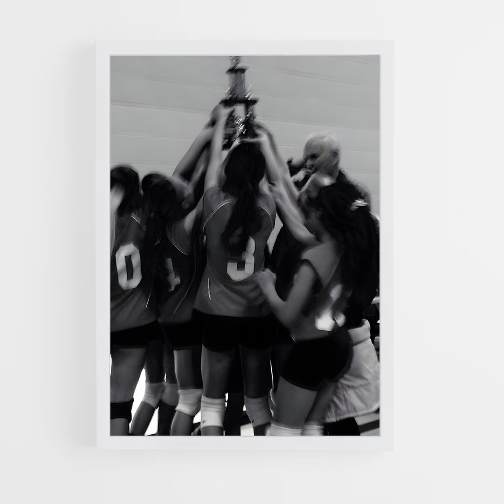 Poster Volleyball Fever (vue 3)
